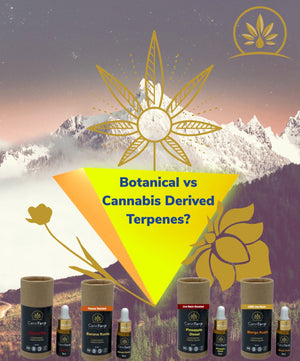 Unlocking the Aromatic Secrets: Botanical vs Full Derived Terpenes (5 Minute Read)