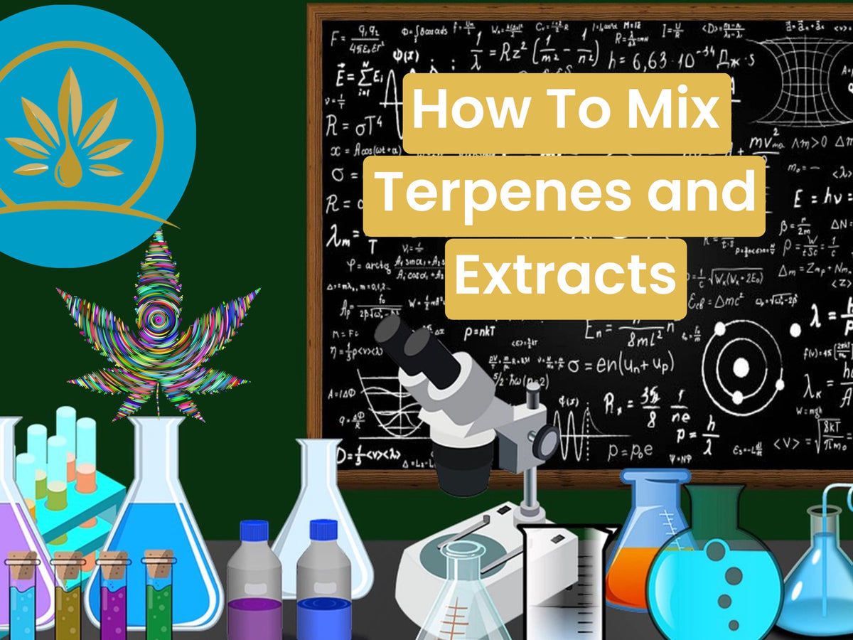 How to mix Terpenes and Extracts (5 Minute Read) CannTerp Premium