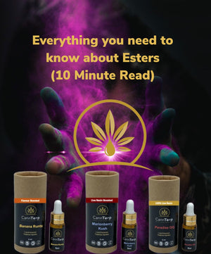 Everything you need to know about esters, beyond terpenes logo with hands showing energy with products 