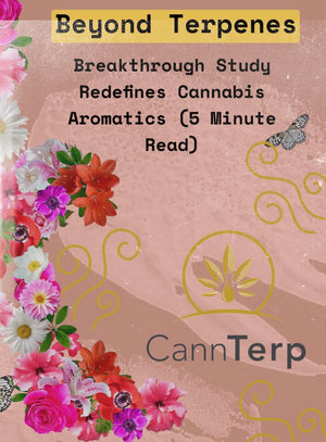 Beyond Terpenes: Breakthrough Study Finds New Contributors to Flower Aromatics (5 minute read)