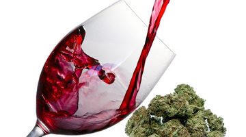 Red wine being poured into a glass with Cannabis buds in the background