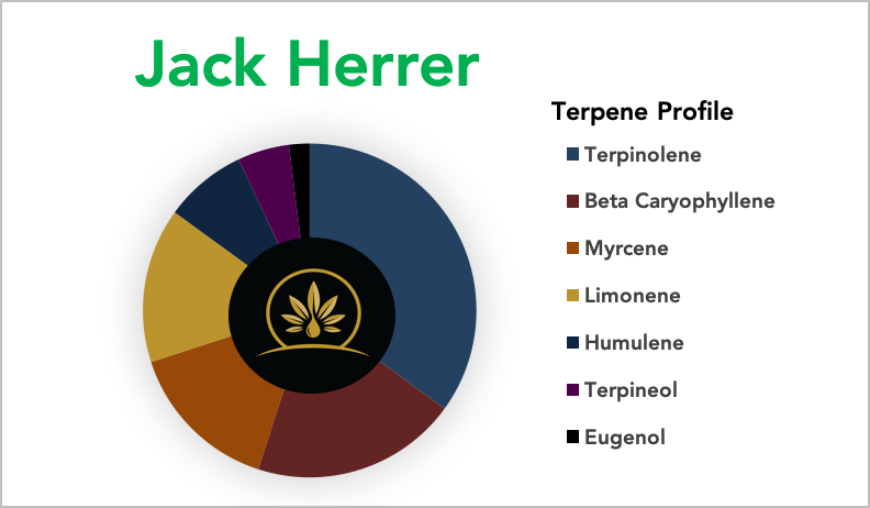 Jack Herer - Terpene Strain Profile | Shop | CannTerp – CannTerp