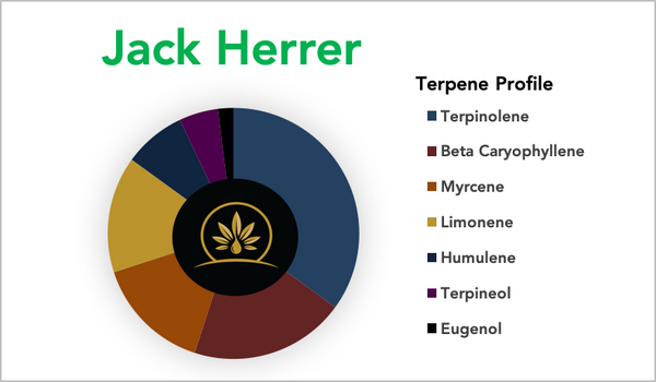 Jack Herer - Strain Profile - Terpene Profile