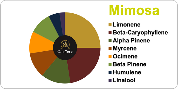 Mimosa Terpene Profile Chart and Blend