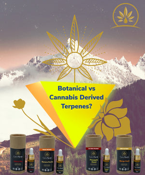 Unlocking the Aromatic Secrets: Botanical vs. Cannabis-Derived Terpenes (5 Minute Read)