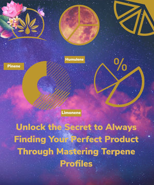 Image of night sky and clouds with the moon as background. There is pie charts that are showing terpene profiles with blog title and cannterp logo.
