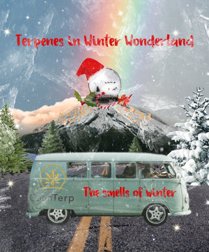 Terpenes in Winter Wonderland written showing road heading into mountains with snowy pine trees along, there is a minibus with CannTerp logo with the smells of winter on side, the mountain is made to look like a snowman.