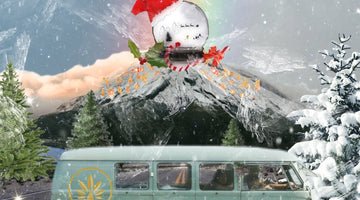 Terpenes in Winter Wonderland written showing road heading into mountains with snowy pine trees along, there is a minibus with CannTerp logo with the smells of winter on side, the mountain is made to look like a snowman.