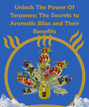 Unlock the Power of Terpenes: The Secrets to Aromatic Bliss and Their Benefits (5 Minute Read)
