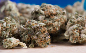 Beautiful close up of cannabis buds