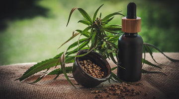 Oil dropper bottle with untrimmed cannabis leaf and cannabis seeds beside it in a small bowl