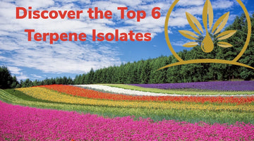 Top 6 Terpene Isolates! (5 minute read)