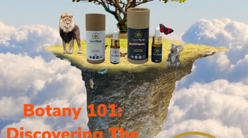 And island in the clouds with a tree, birds and a lion showing cannterp products 