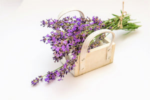 Decorative wooden basket with a bouquet of lavender tied with twine laid in it