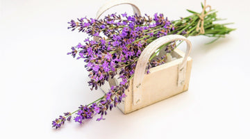 Decorative wooden basket with a bouquet of lavender tied with twine laid in it