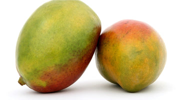 Two ripe mangos leaning against one another
