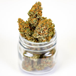 Glass jar filled with cannabis flower protruding out the top