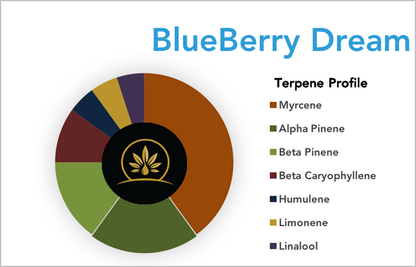 BlueBerry Dream Terpene Strain Profile