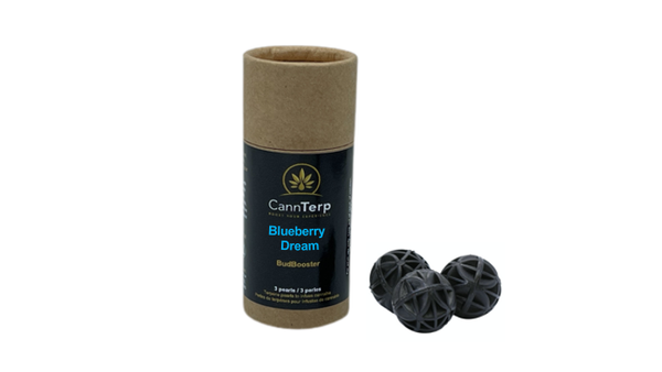 Blueberry Dream - Terpene Infusion Pearls