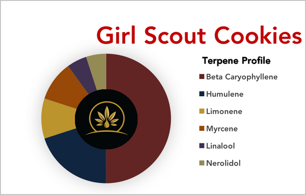 Girl Scout Cookies Strain - Terpene Profile 