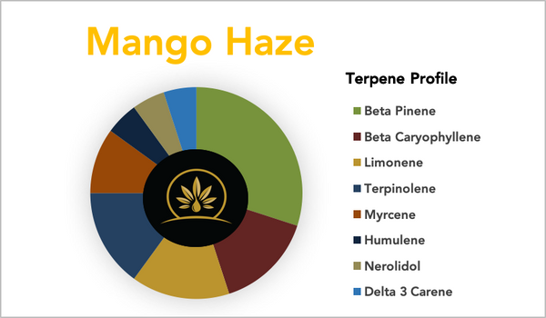 Mango Haze -  Strain Profile - Terpene Profile