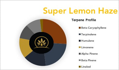 Super Lemon Haze - Strain Profile - Terpene Profile