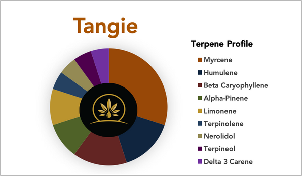 Tangie - Strain Profile - Terpene Profile